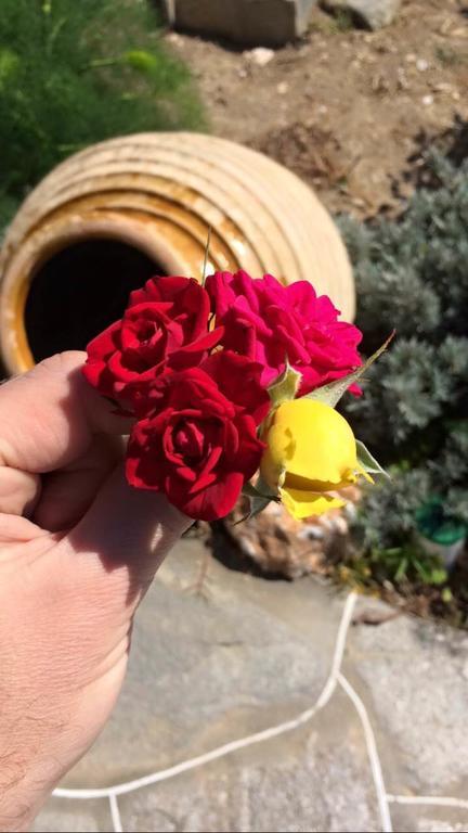 Rose Home Apolonía Kültér fotó